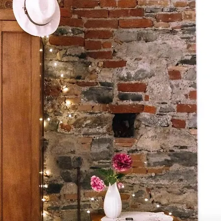 Le Dame Della Cortesella